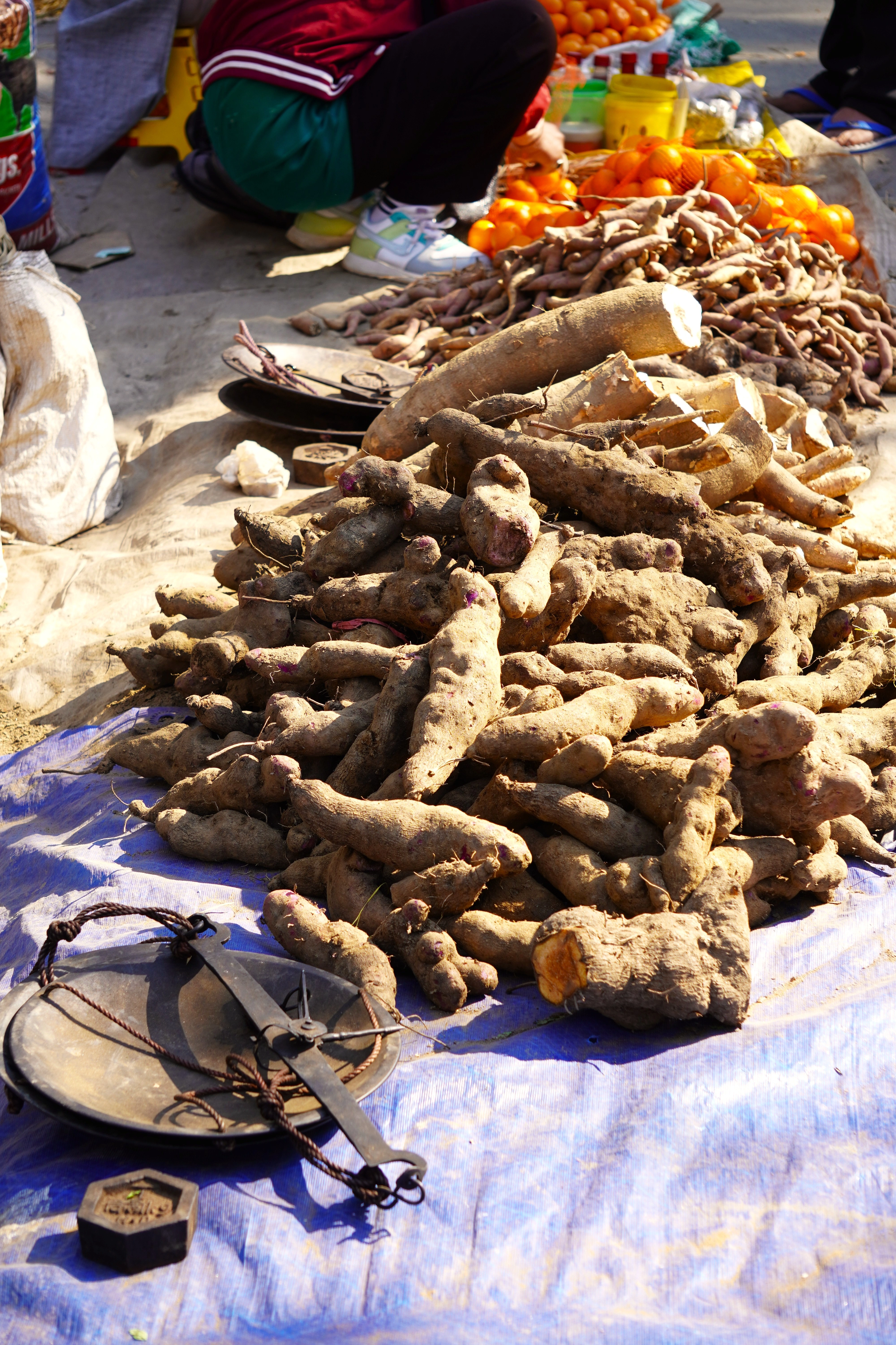 Agricultural Haat Event