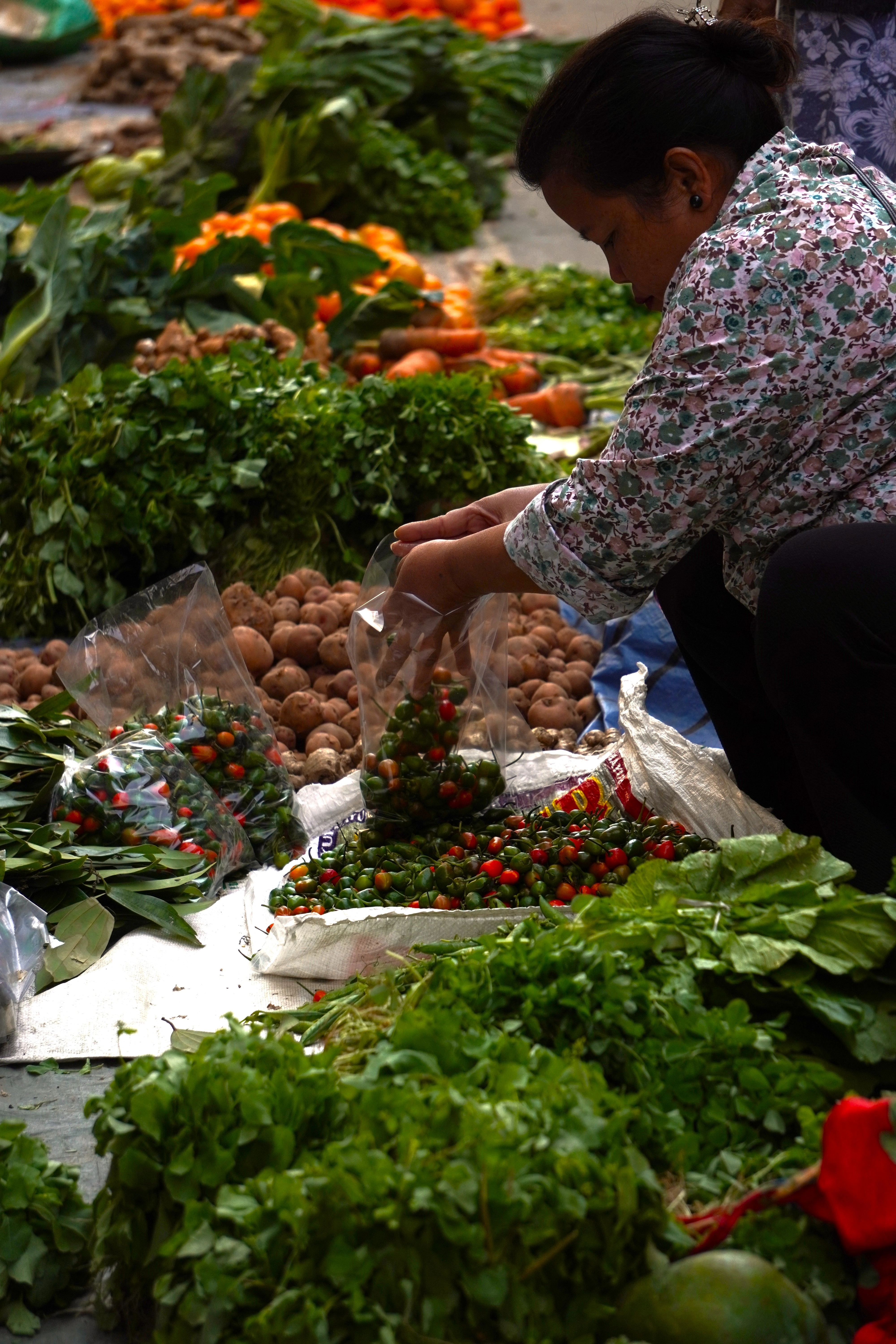 Agricultural Haat Event