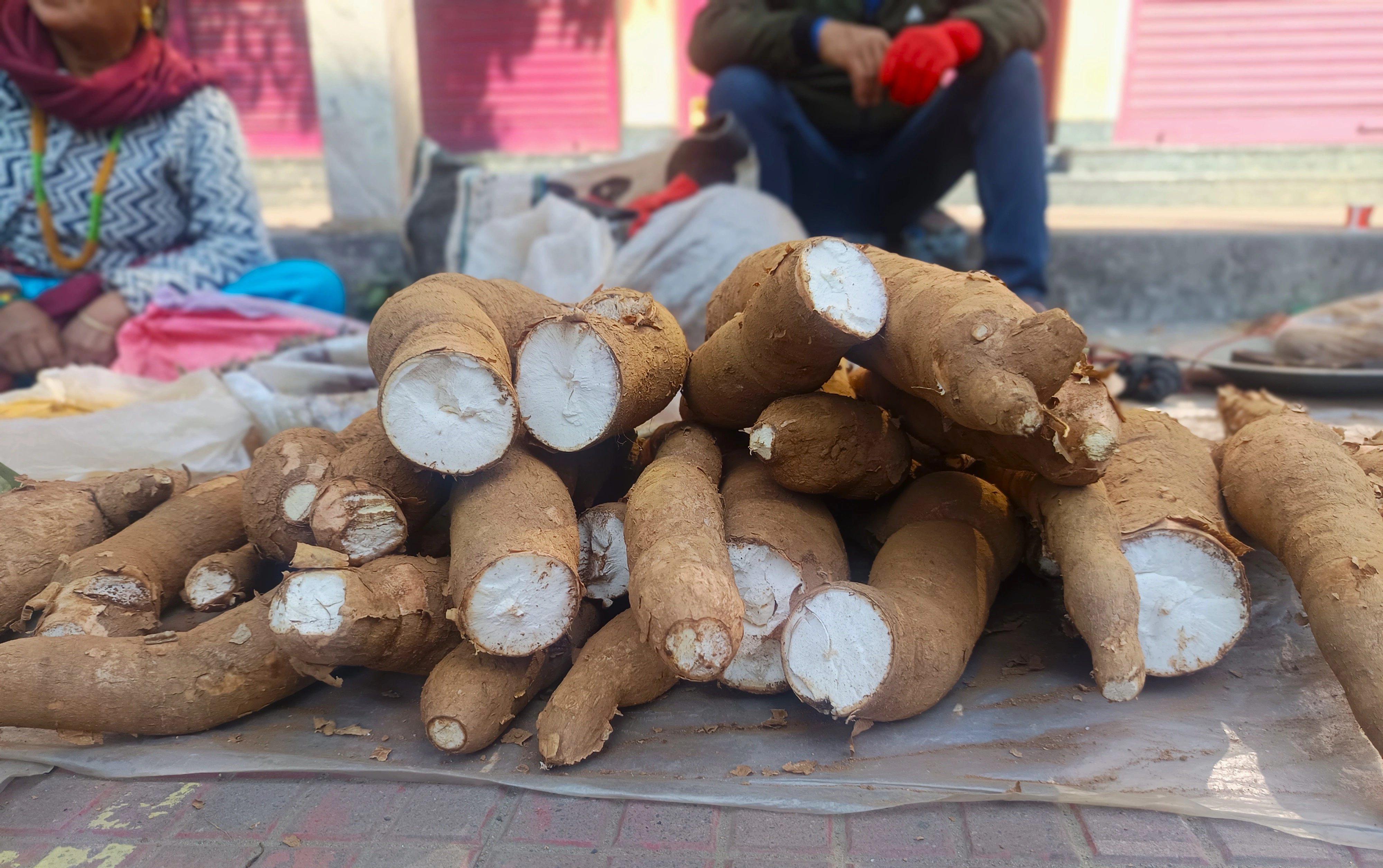 Agricultural Haat Event